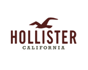 hollister-logo